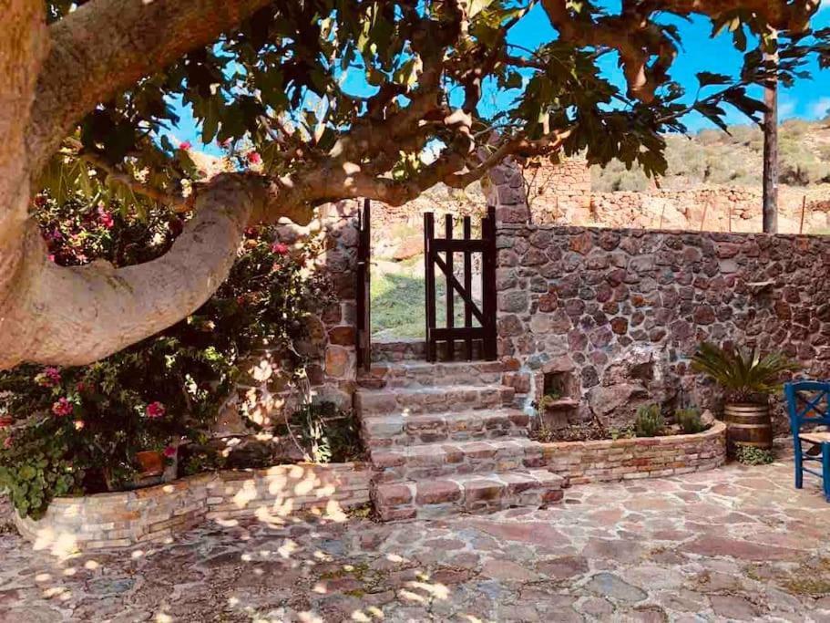 Villa Stone Sunset Sfentouri